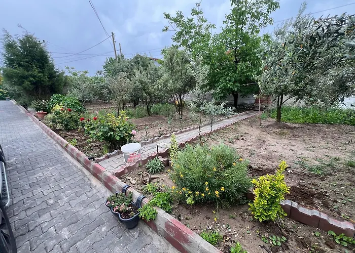 Lejlighed Panorama House *