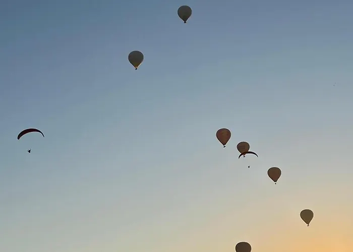 Panorama House Daire