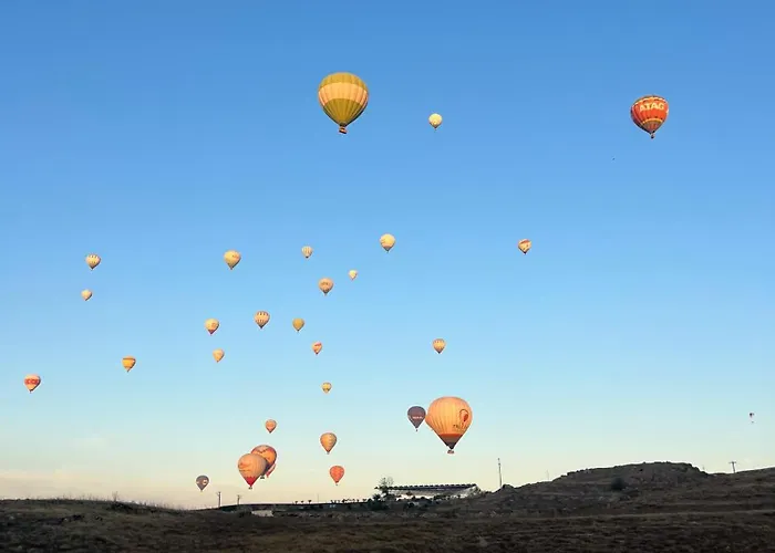 Daire Panorama House